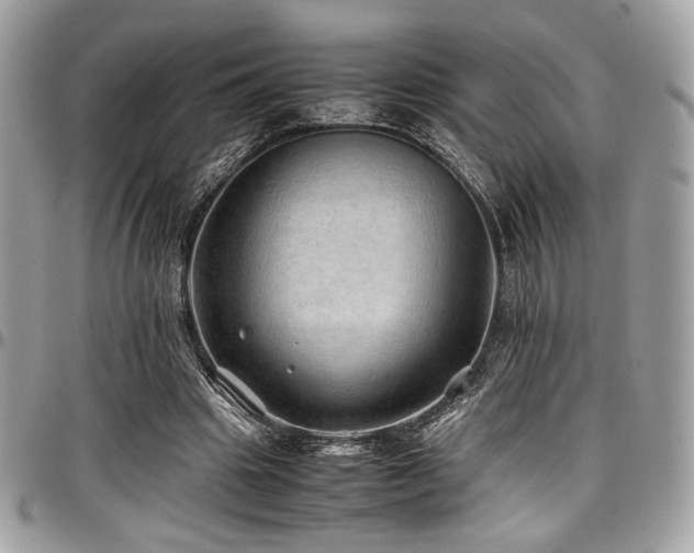 X0000097300441200802151442