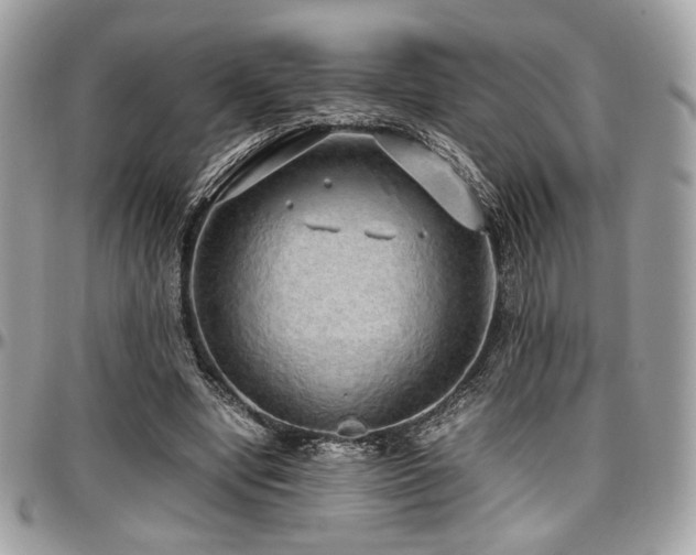 X0000097300442200802151442