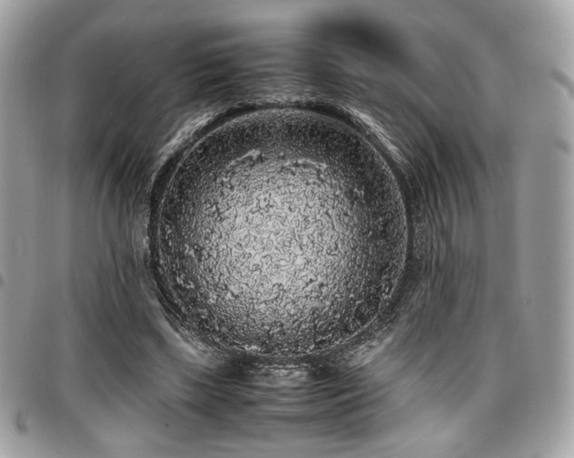 X0000097300443200802151442