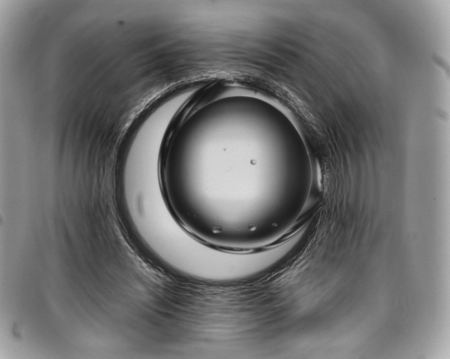 X0000097300444200802151442