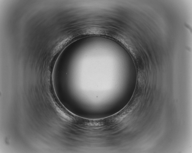 X0000097300445200802151442