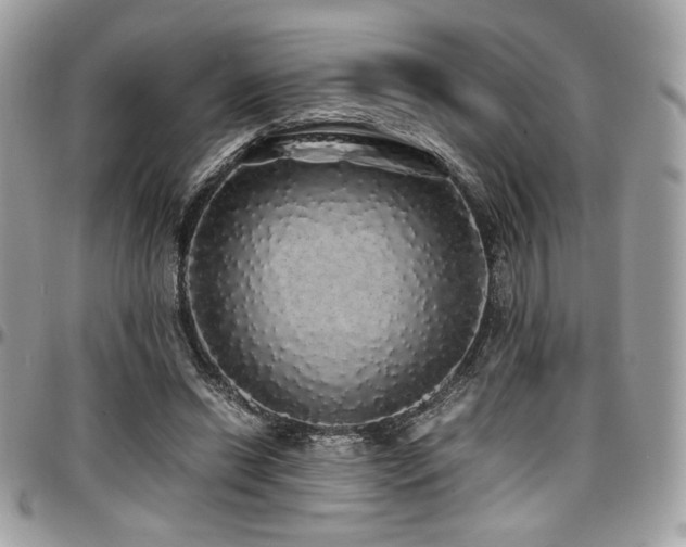 X0000097300446200802151442