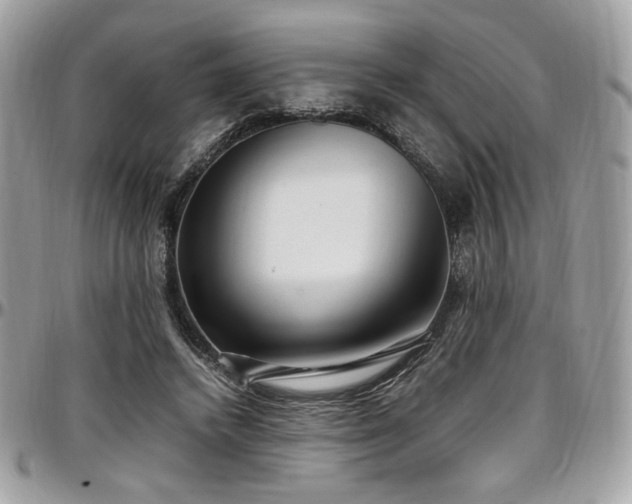 X0000097300448200802151442