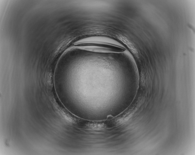 X0000097300449200802151442