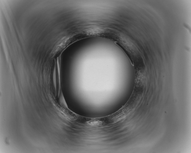 X0000097300452200802151442
