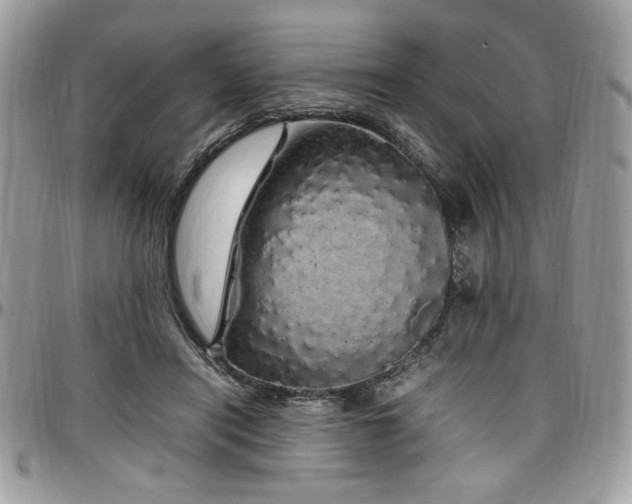 X0000097300454200802151442