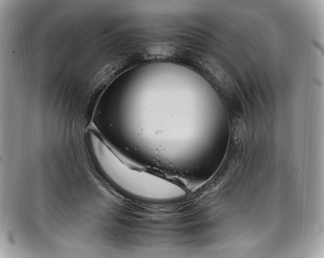 X0000097300455200802151442