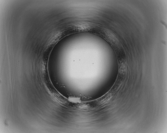 X0000097300456200802151442