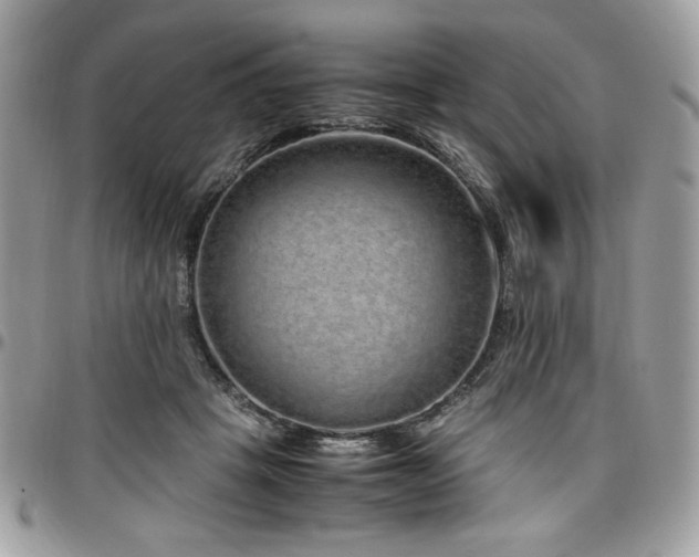 X0000097300457200802151442