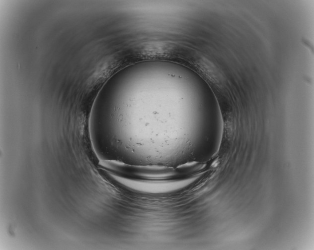 X0000097300458200802151442