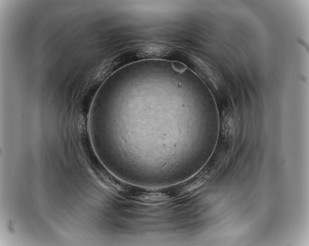 X0000097300459200802151442