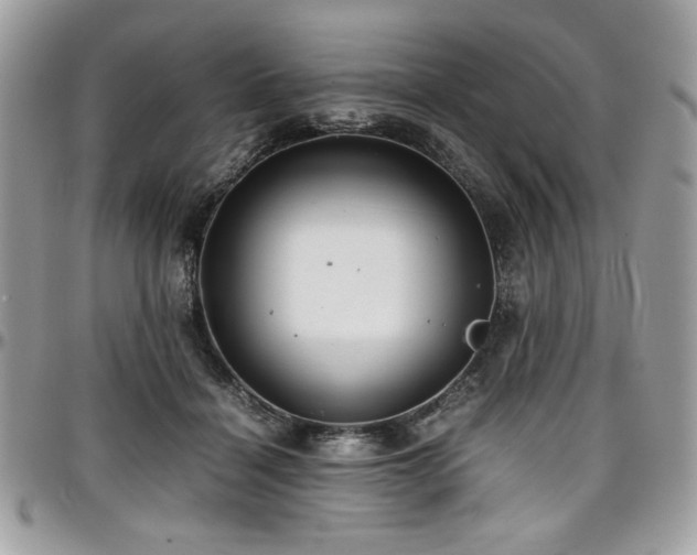 X0000097300460200802151442