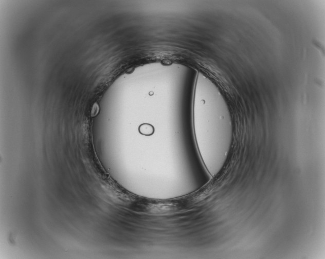 X0000097300461200802151442
