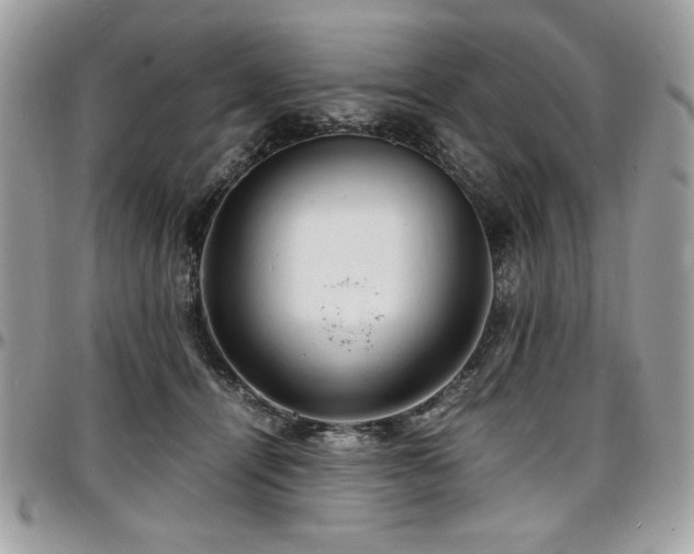 X0000097300464200802151442