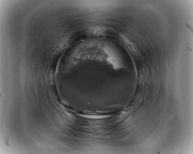 X0000097300465200802151442
