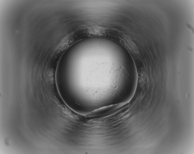 X0000097300466200802151442