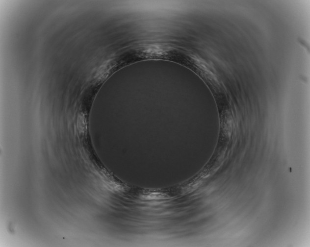 X0000097300467200802151442