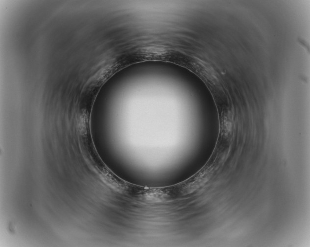 X0000097300468200802151442