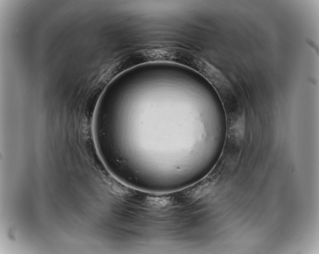 X0000097300469200802151442