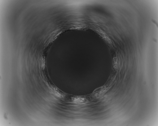 X0000097300471200802151442