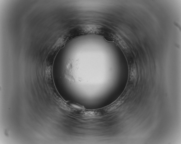 X0000097300473200802151443