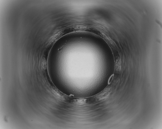 X0000097300474200802151443
