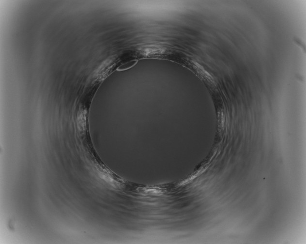 X0000097300475200802151443