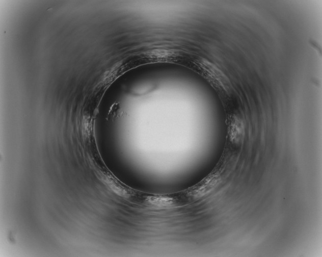 X0000097300476200802151443