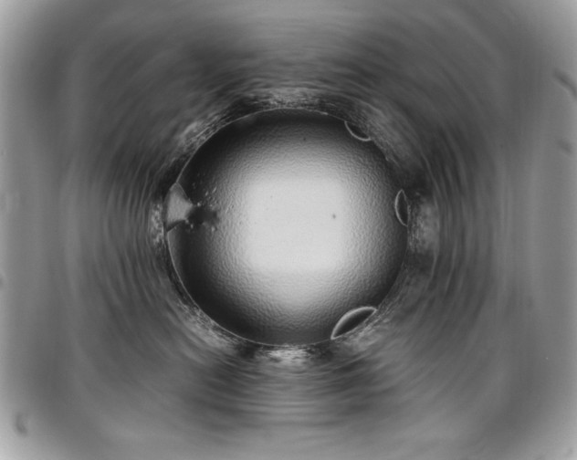 X0000097300478200802151443