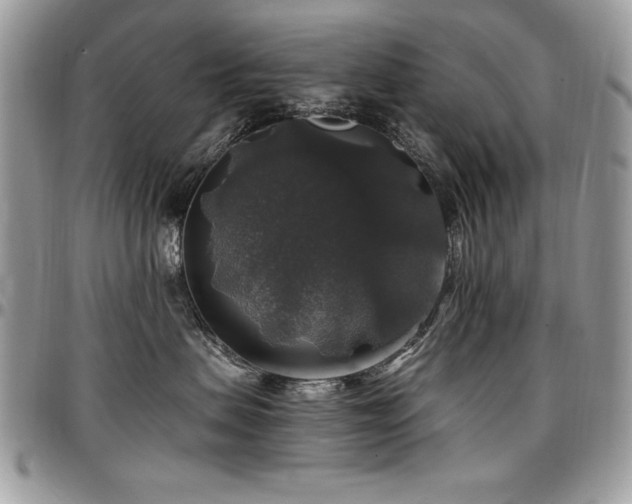 X0000097300479200802151443