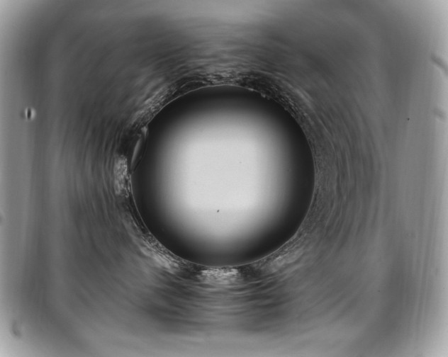 X0000097300480200802151443