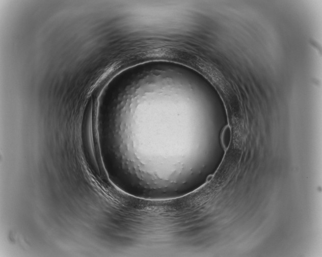 X0000097300482200802151442