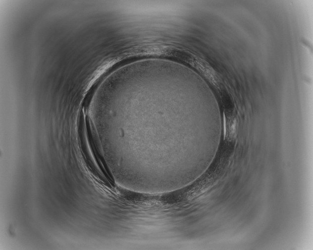 X0000097300483200802151442
