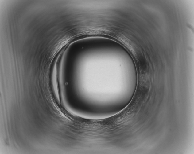 X0000097300485200802151442