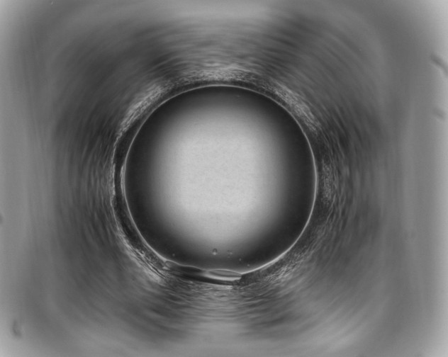 X0000097300486200802151442