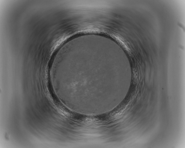 X0000097300487200802151442