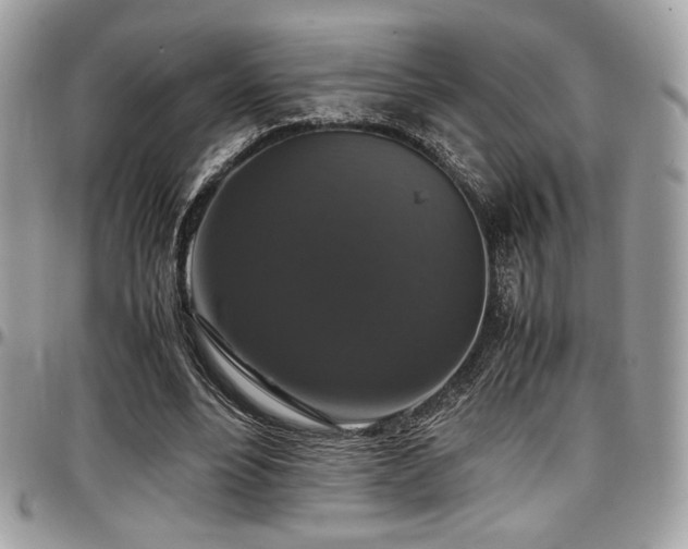 X0000097300488200802151442