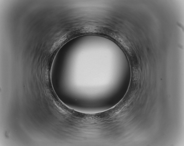 X0000097300489200802151442