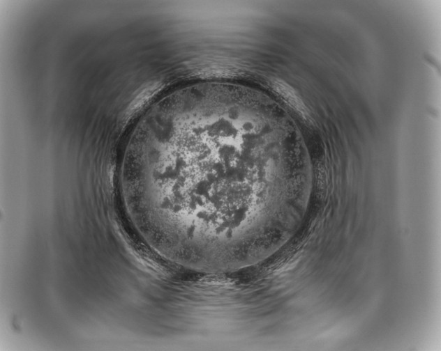 X0000097300491200802151442