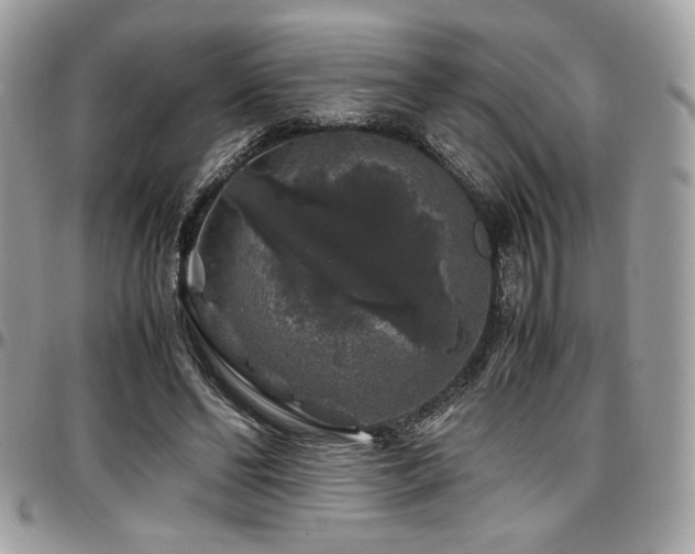 X0000097300494200802151442