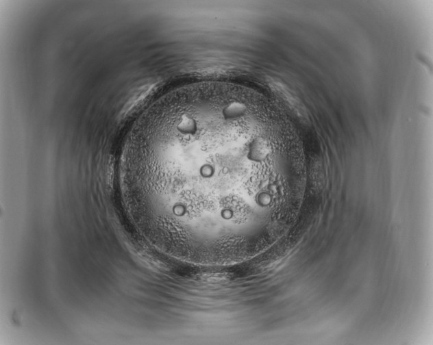 X0000097300495200802151442