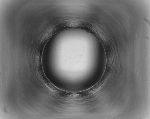 X0000097300497200802151442