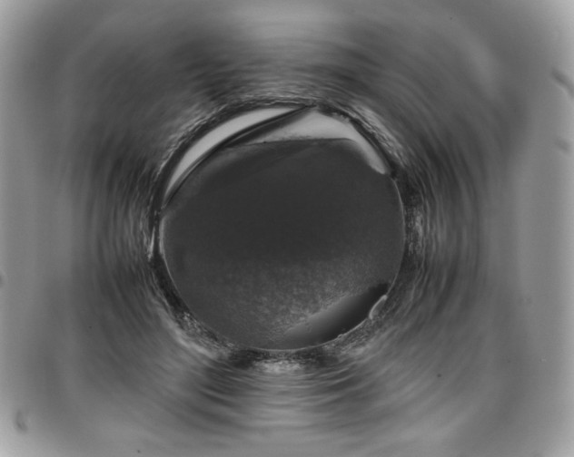 X0000097300500200802151442