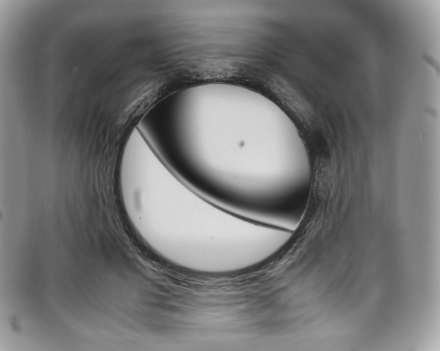 X0000097300501200802151442