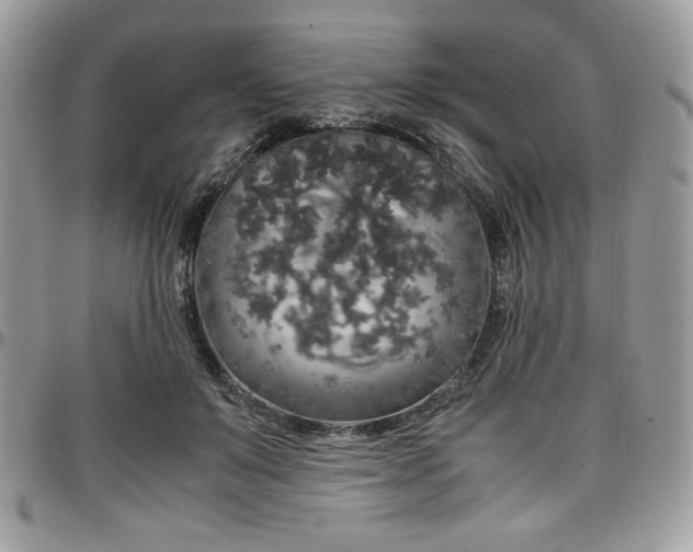 X0000097300503200802151442