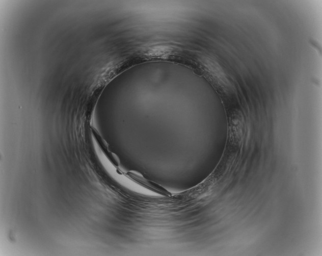 X0000097300504200802151442