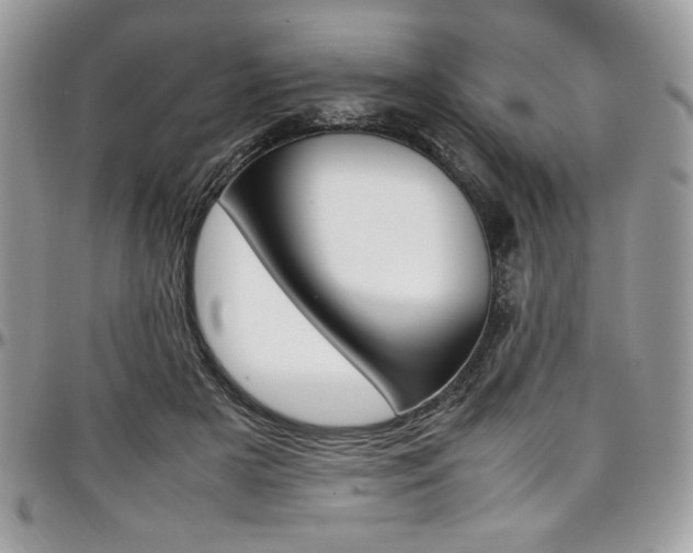 X0000097300505200802151442