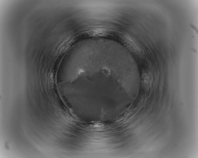 X0000097300506200802151442
