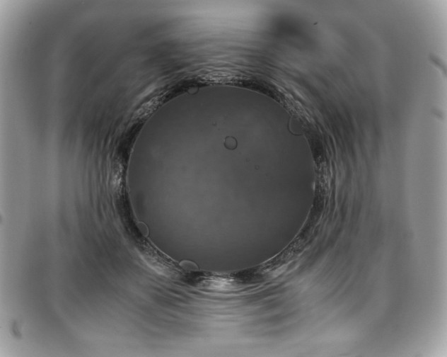 X0000097300507200802151442