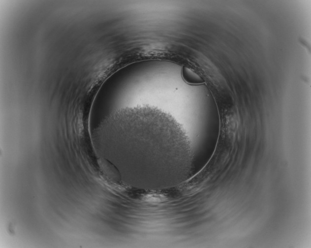 X0000097300508200802151442
